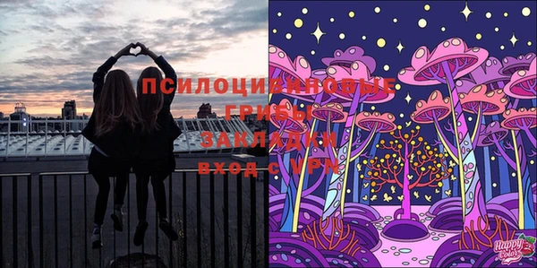амф Абаза