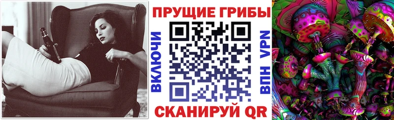 Галлюциногенные грибы Psilocybine cubensis Юрюзань